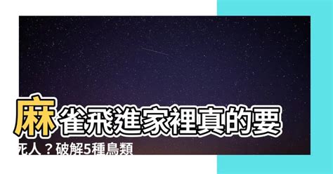 雀鳥飛入屋|【有鳥飛進家裏】有鳥飛進家裡！破解常見迷信，揭開牠飛來的真。